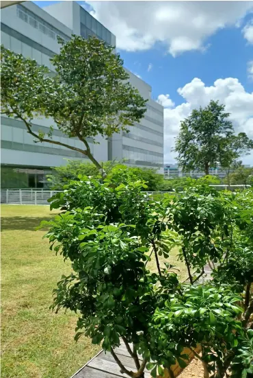 Finding a Wellness Center Near You
